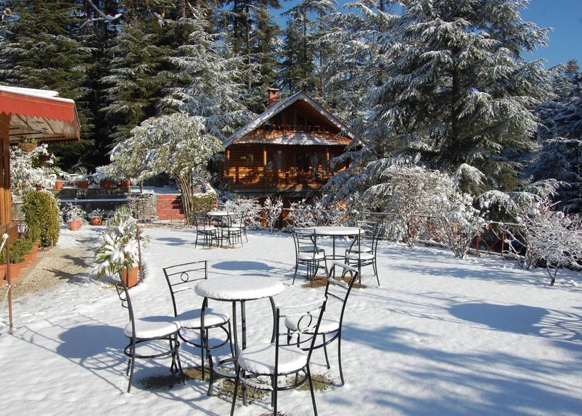 Himachal Pradesh Naldehra Hotel Exterior