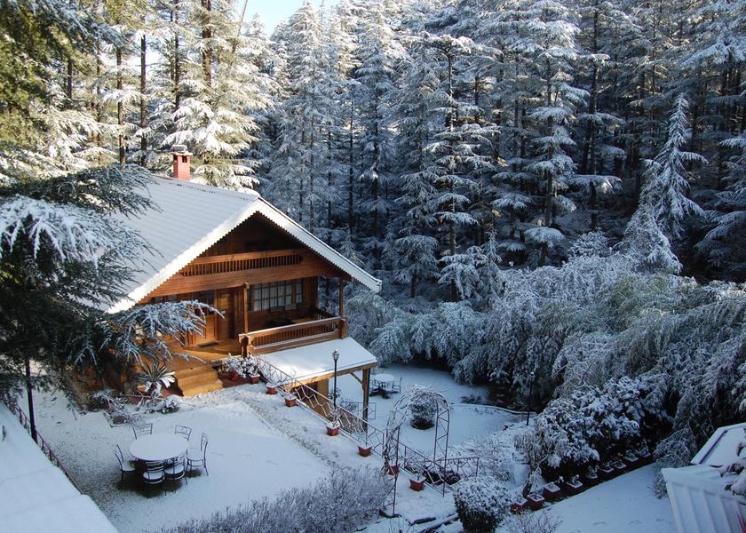 Himachal Pradesh Naldehra Hotel Exterior