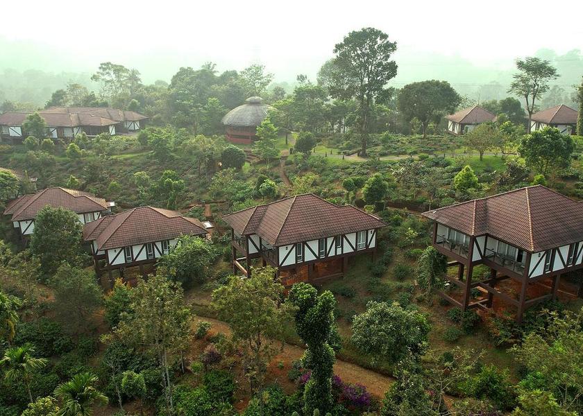 Kerala Wayanad View