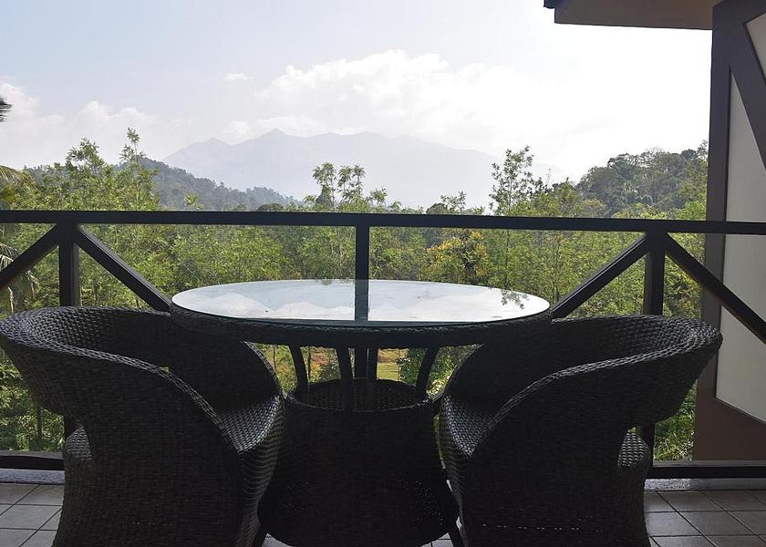 Kerala Wayanad 1025