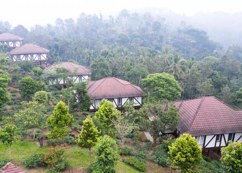 Kerala Wayanad Hotel View