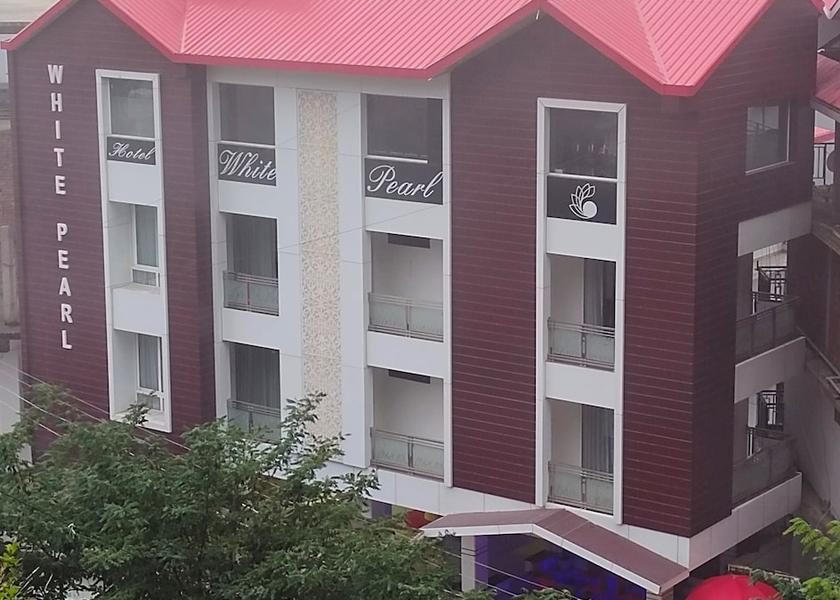 Himachal Pradesh Chail Front of property