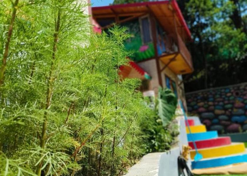 Uttarakhand Nainital Duplex Twin
