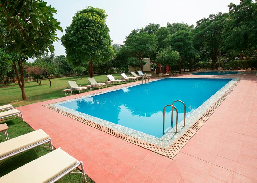 Rajasthan Alwar Pool