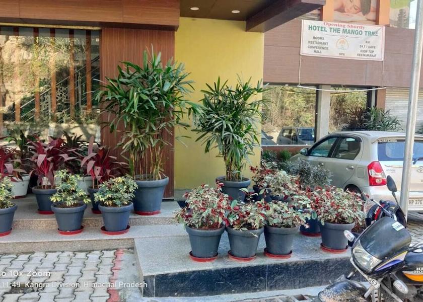 Himachal Pradesh Kangra Front of property