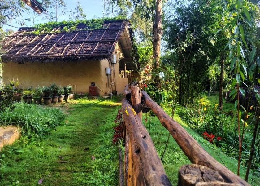 Kerala Munnar Outdoors