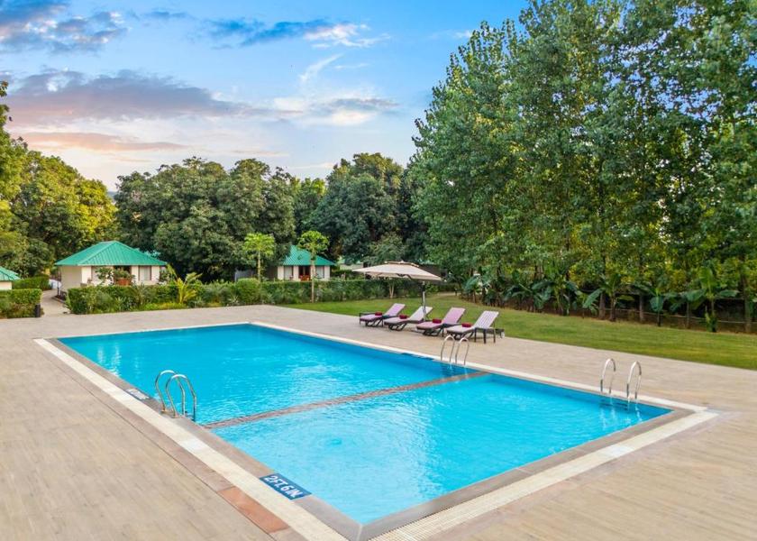 Rajasthan Sawai Madhopur Pool