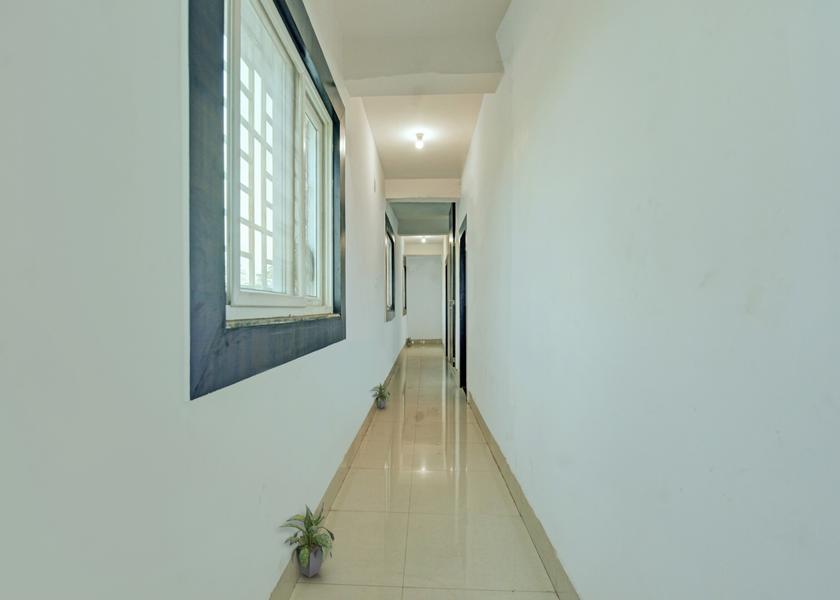 Photos