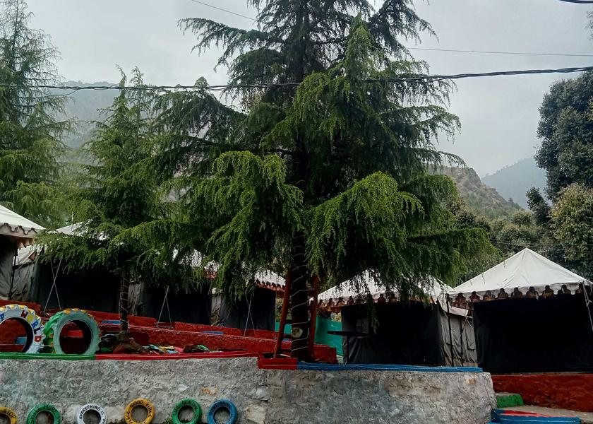 Himachal Pradesh Dharamshala Facade