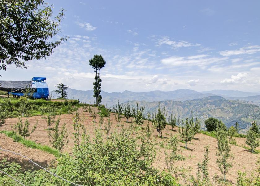 Himachal Pradesh Kufri Garden