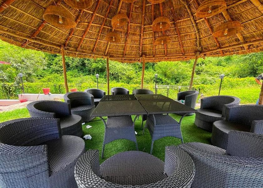 Uttarakhand Rishikesh Food & Dining