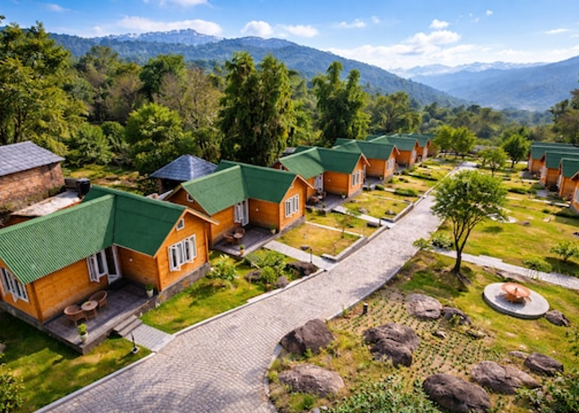 Himachal Pradesh Palampur 