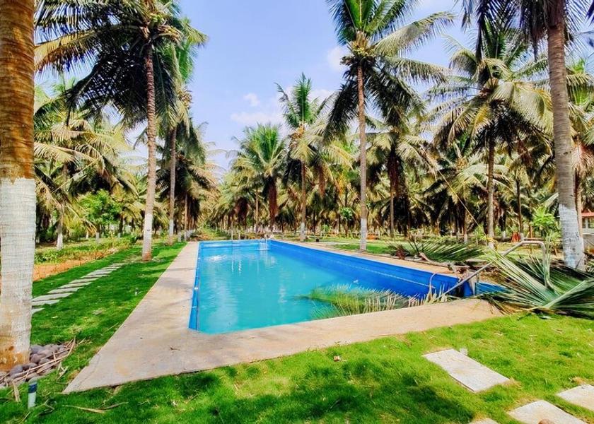 Karnataka Tumkur Pool