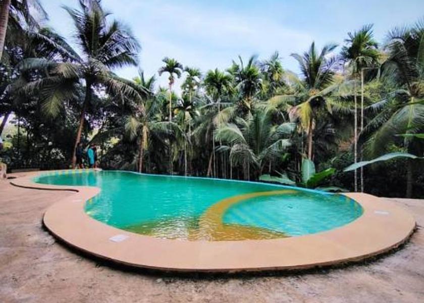 Goa Cola Pool