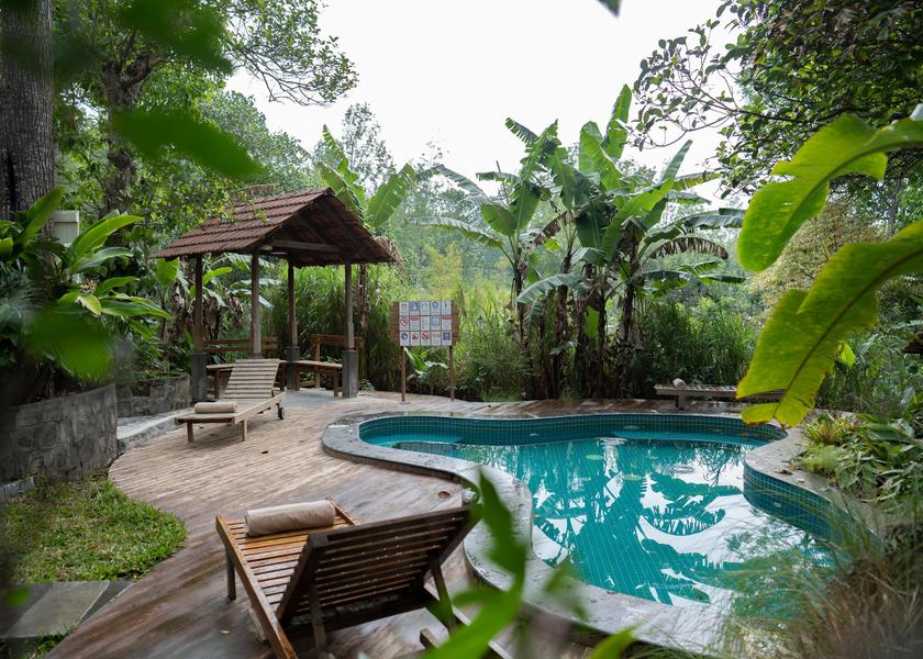 Tamil Nadu Yercaud Pool