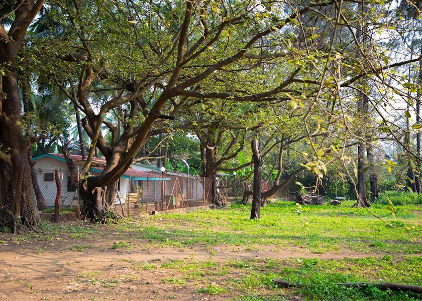 Maharashtra Alibaug Outdoors