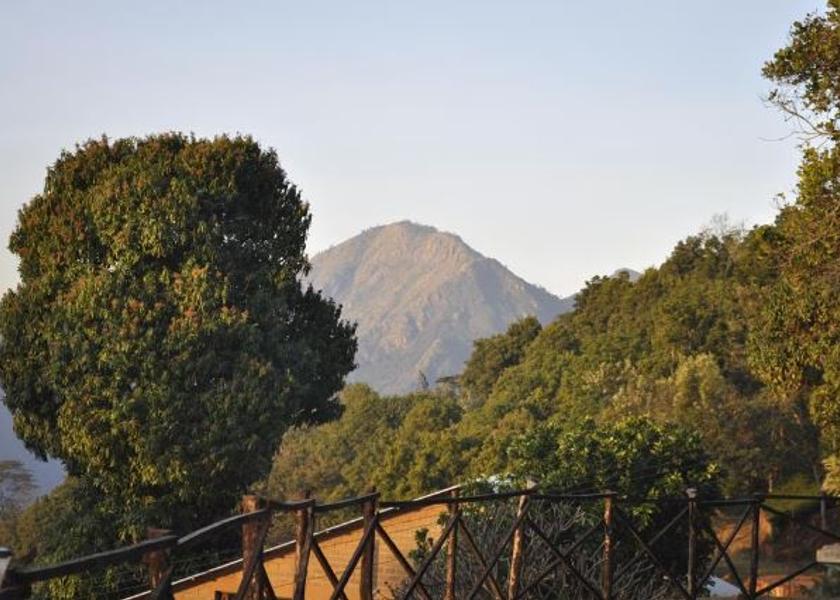Tamil Nadu Coonoor 1025