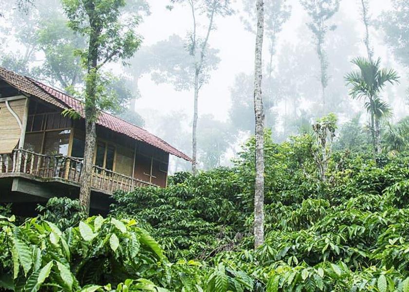 Kerala Wayanad Hotel Exterior