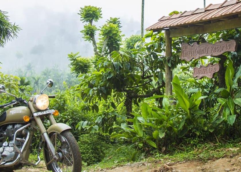 Kerala Wayanad Hotel Exterior