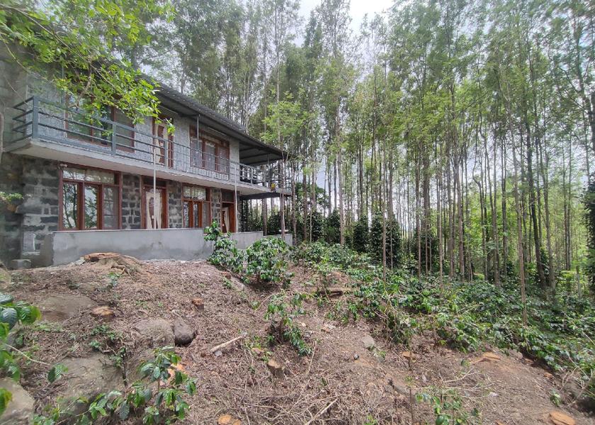 Tamil Nadu Yercaud Exterior view