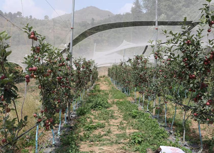 Uttarakhand Chakrata Garden