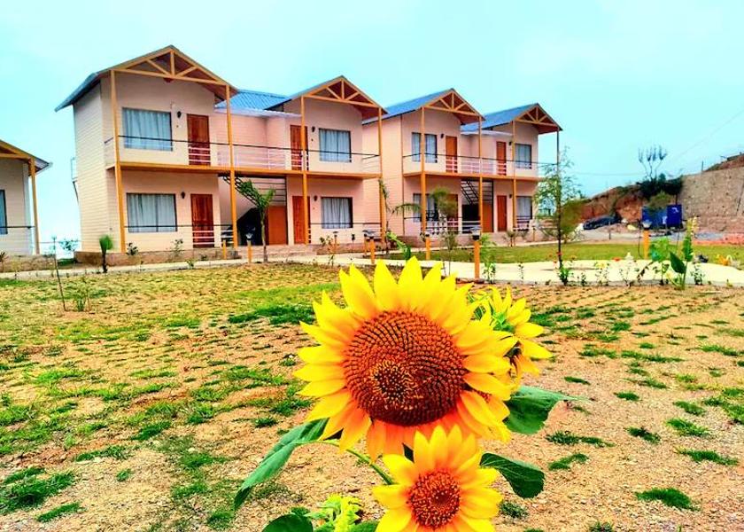 Uttarakhand Chakrata Garden
