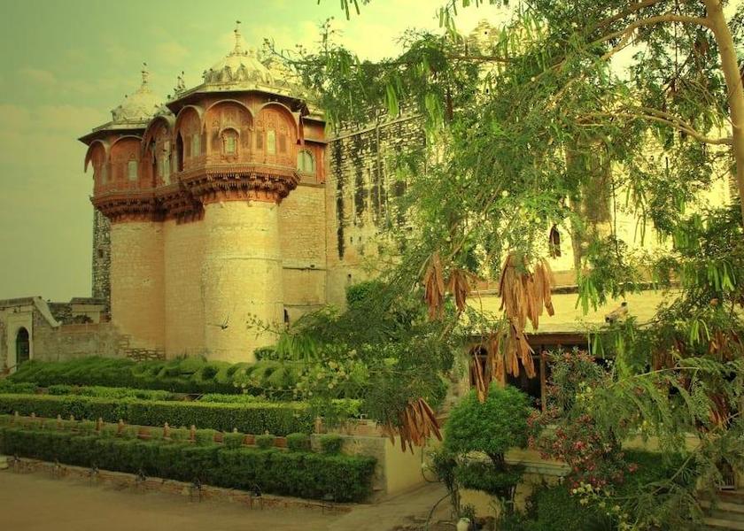 Rajasthan Khejarla 