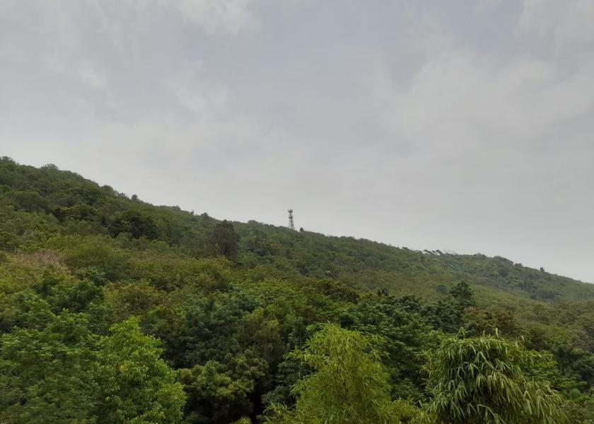 Andhra Pradesh Visakhapatnam Hotel View