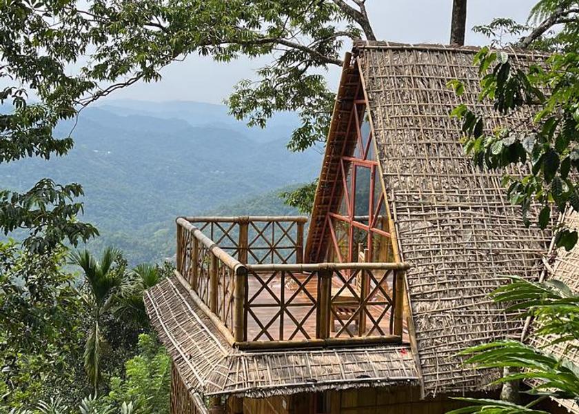 Kerala Munnar Hotel View
