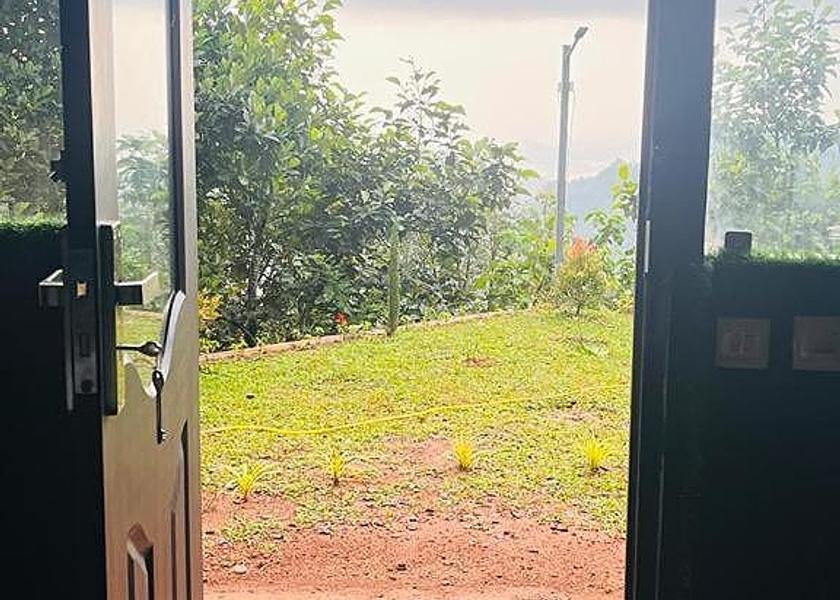 Kerala Munnar 