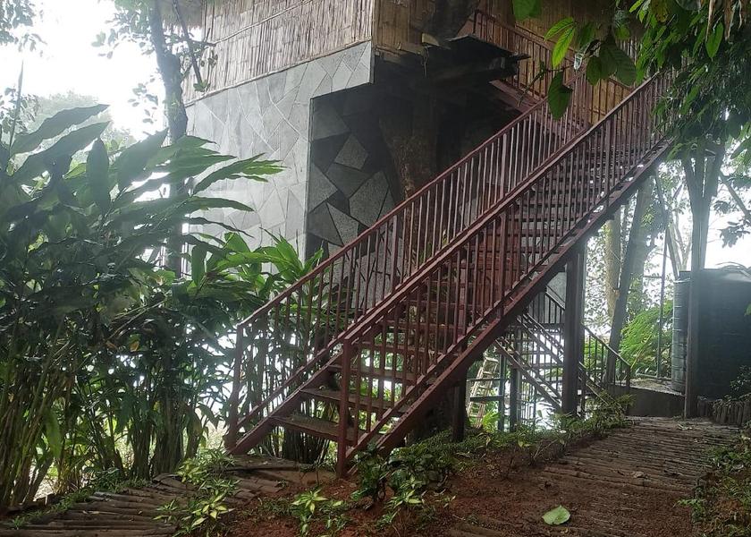 Kerala Munnar Bamboo Cottage