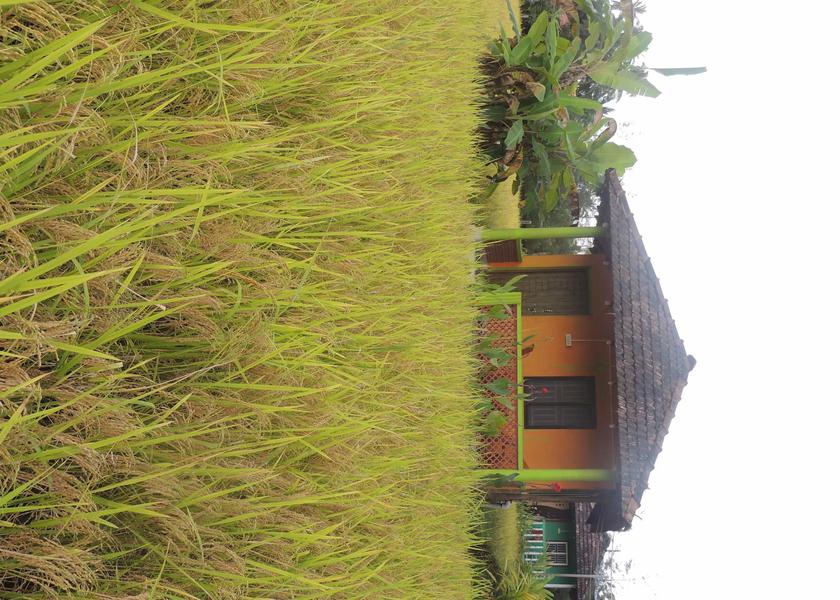 Karnataka Gokarna Hotel Exterior