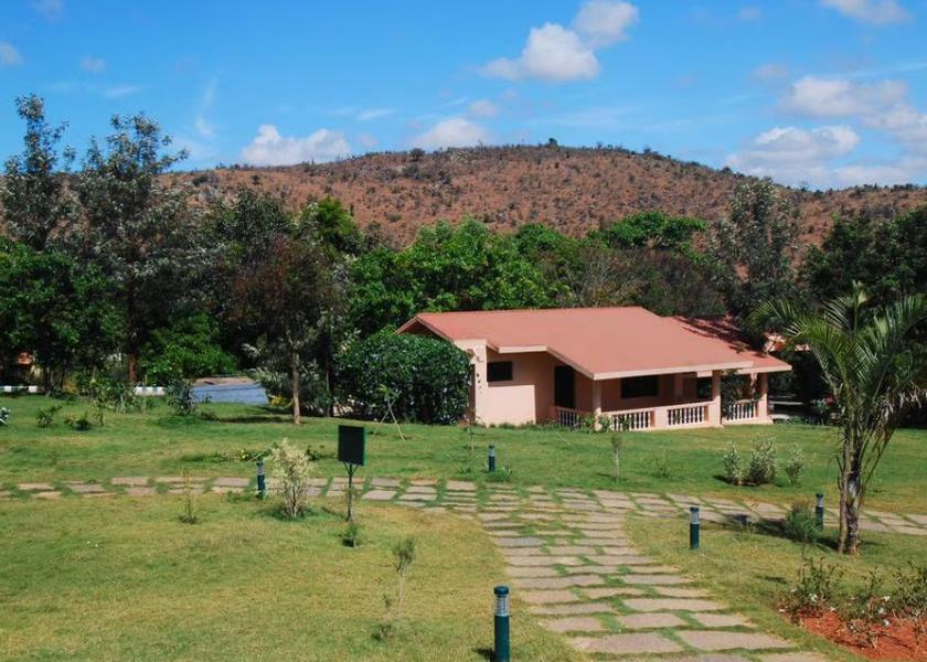 Karnataka Bandipur Outdoors