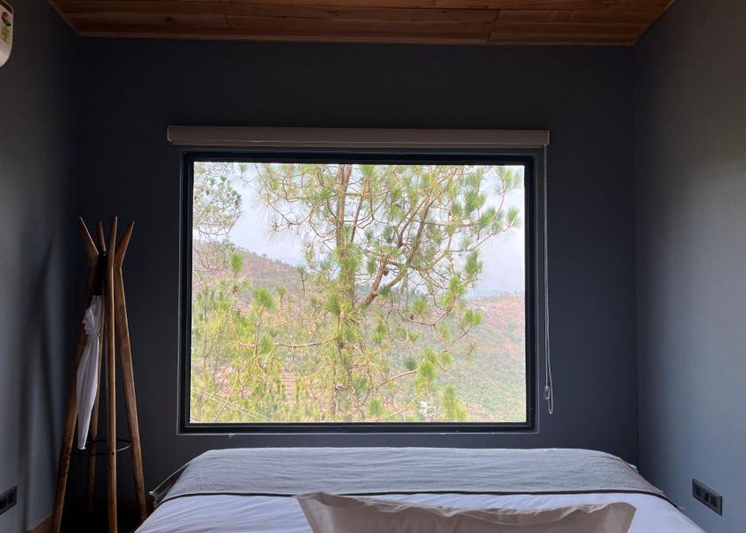 Himachal Pradesh Solan Forest Pods