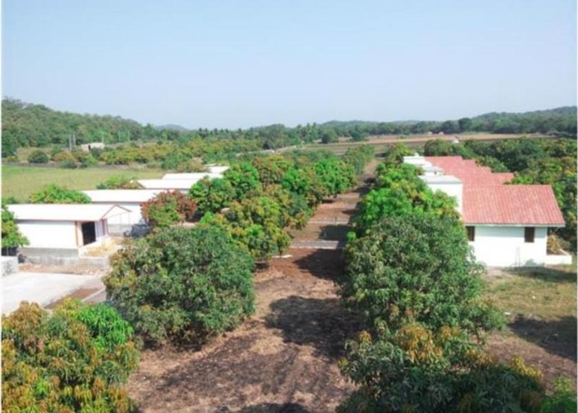 Gujarat Sasan Gir Exterior view
