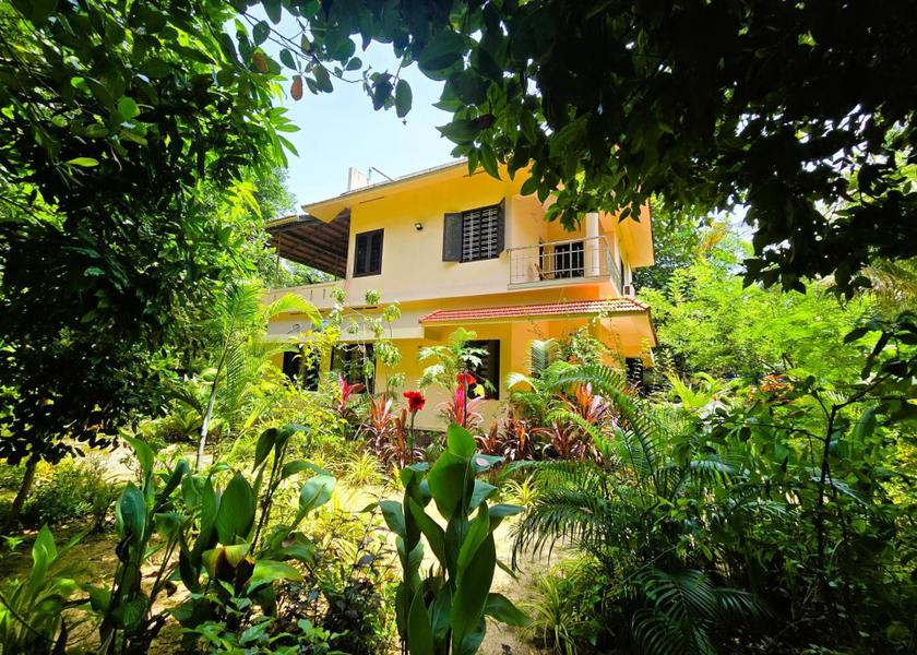 Kerala Alleppey garden
