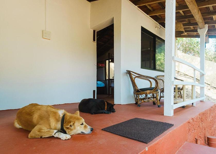 Goa Mandrem facilities