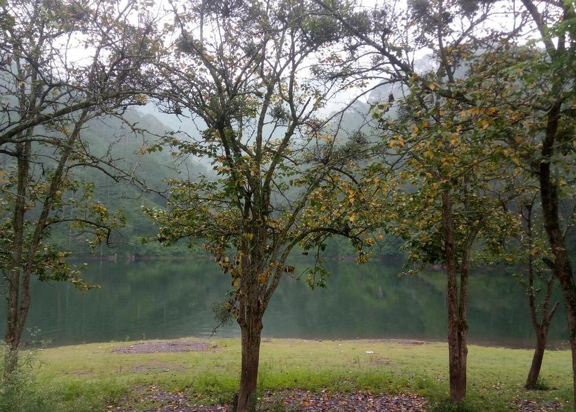 Uttarakhand Bhimtal surrounding environment