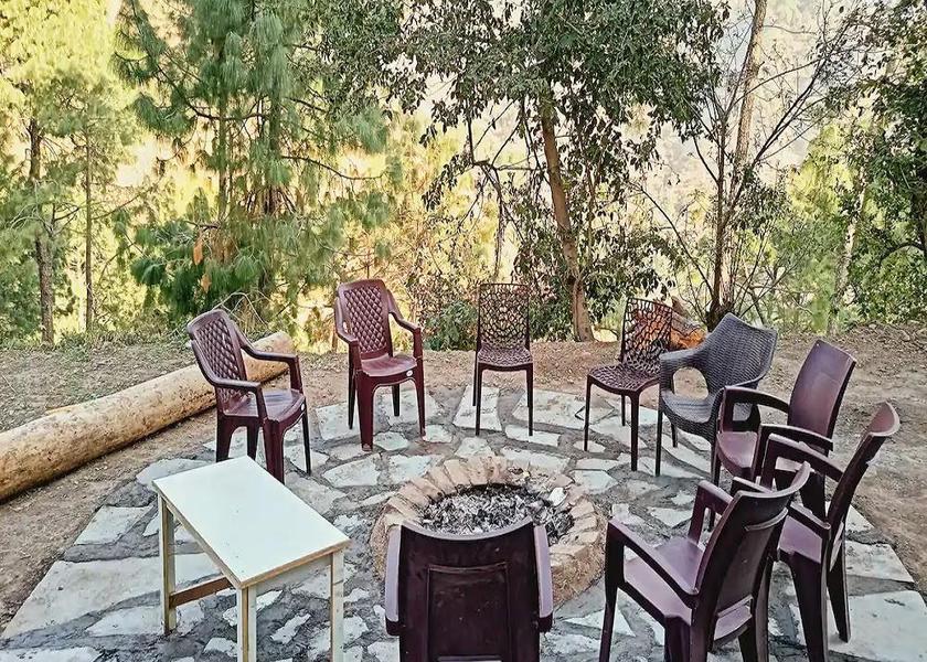 Himachal Pradesh Parwanoo Food & Dining