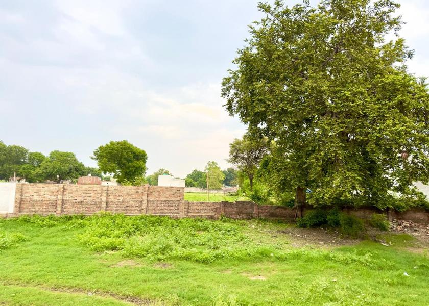 Uttar Pradesh Ayodhya Outdoors
