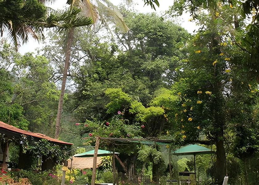 Tamil Nadu Devala exterior view