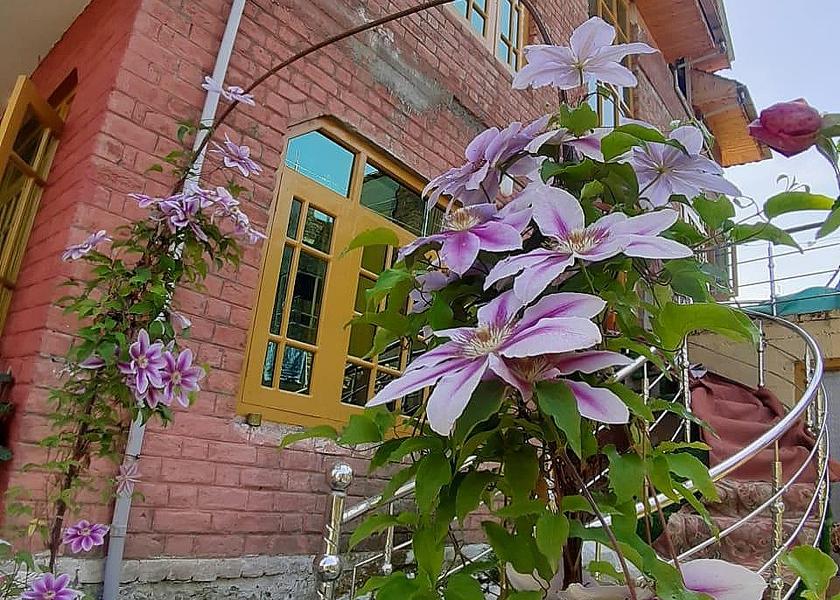 Jammu and Kashmir Srinagar Exterior view