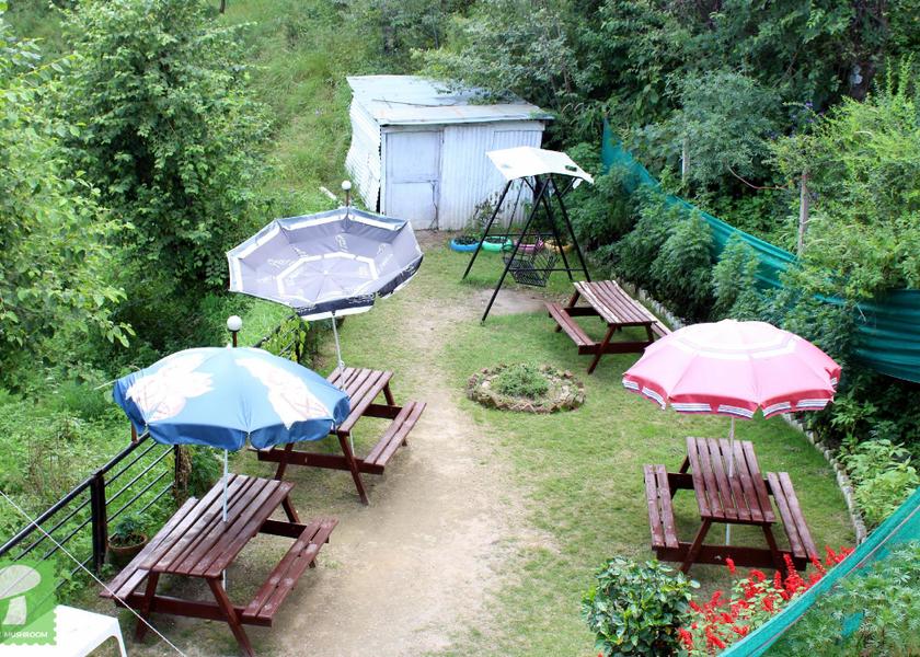 Himachal Pradesh Kasauli Garden