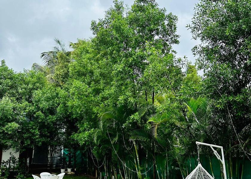 Goa Morjim exterior view