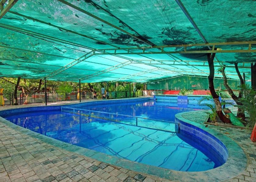 Gujarat Sasan Gir swimming pool