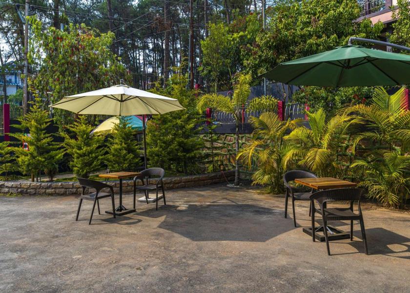 Meghalaya Shillong garden