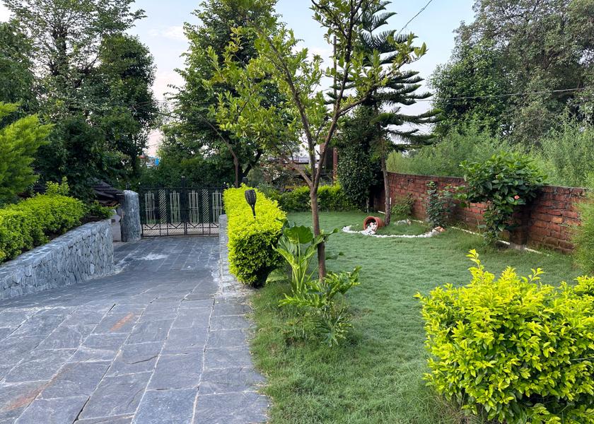 Himachal Pradesh Dharamshala Outdoors