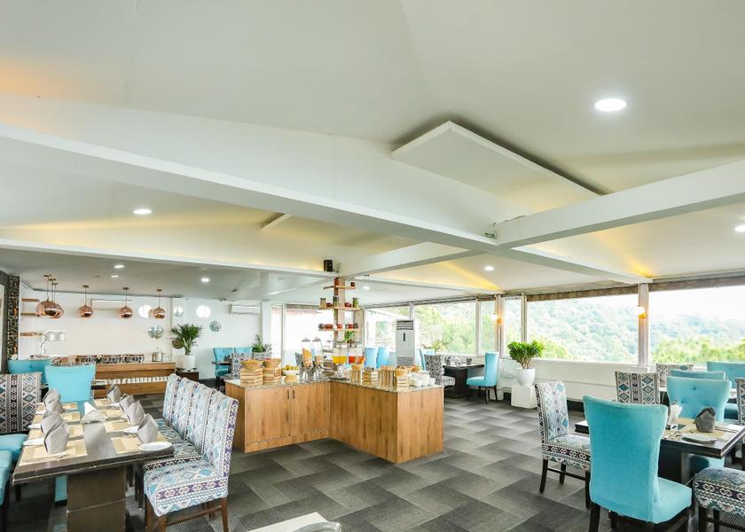 Himachal Pradesh Dharamshala Food & Dining