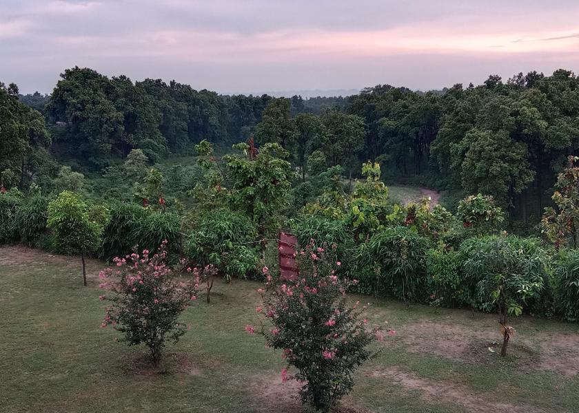 Surrounding environment