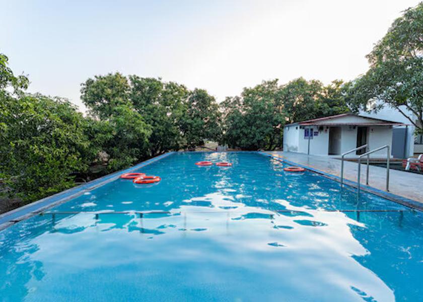 Gujarat Sasan Gir Pool